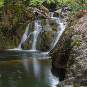 Beezley 瀑布在约克郡山谷 Ingleton 附近的母鹿的看法