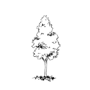 手绘建筑师树, 矢量素描, 建筑插图照片