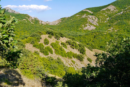 高高的山坡上覆盖着青草的蓝天背景