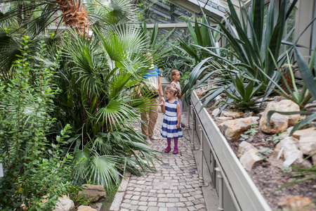 母亲和孩子们在植物园里寻找温室植物