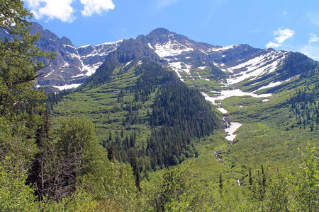 葱郁的绿色山坡，与白雪峰在背景中