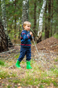 孩子们用手杖在森林里散步。蘑菇采摘在森林里