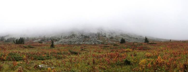 山脉和峭壁，南乌拉尔的全景。在山的夏天