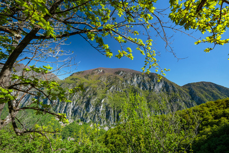 石灰岩山地植被覆盖