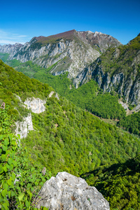 石灰岩山地植被覆盖