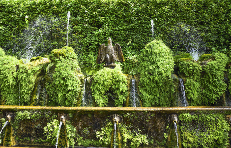 在意大利的 Tivoli, 水从著名的 埃斯特山庄 喷泉流出。