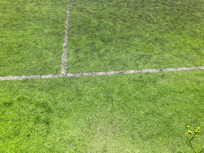 绿草足球场上的白线。特写镜头