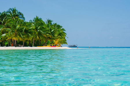 加勒比海的美丽的景色和棕榈树热带岛屿彩色增强处理