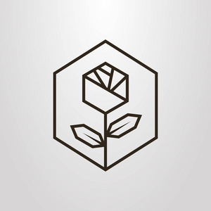 黑白简单向量线艺术中六角形框架玫瑰花的几何符号照片