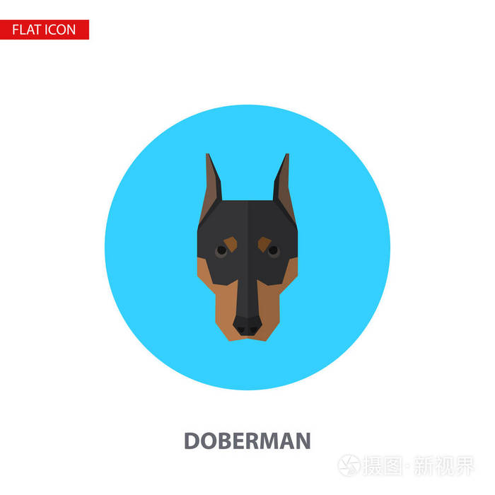 在绿松石圆形背景上的犬头矢量平面图标 可用作徽标 象形文字 图标 图表元素插画 正版商用图片0qcryu 摄图新视界 在绿松石圆形背景上的犬头矢量平面图标 可用作徽标 象形文字 图标 图表元素插画 正版商用图片0qcryu 摄图新视界
