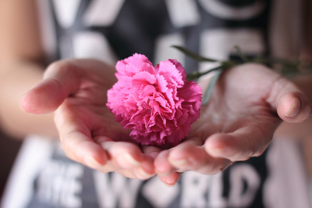 手里拿着一朵粉红色的康乃馨花