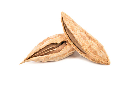 白底壳上的两个乌兹别克野杏仁照片