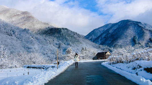 在河口湖，日本，树和山白雪 冬季森林覆盖和山提振雪域景观色彩处理