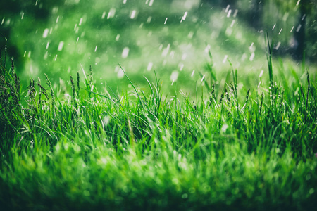 唯美下雨天图片