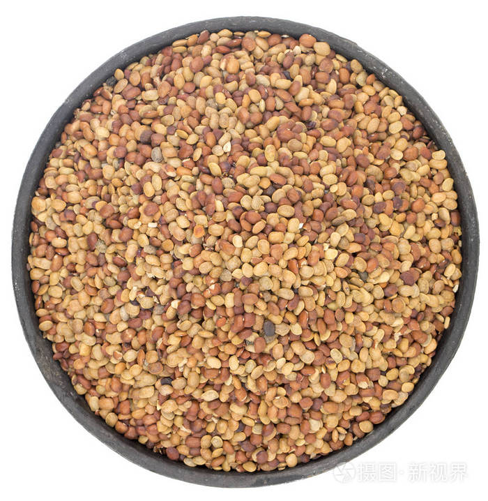 新鲜健康的红扁豆种子