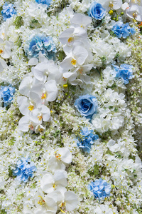 婚礼花束与玫瑰布什 花毛茛叶片作为高建群