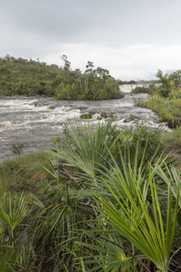 巴西中部戈亚斯州 Chapada dos Veadeiros 的典型塞拉多植被和河流的美丽景观