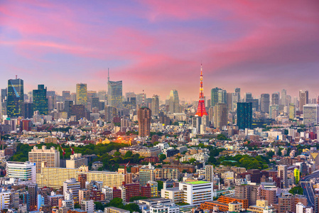 东京, 日本城市景观和塔在黄昏从惠比寿区