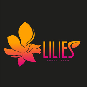 优雅的百合花标志模板图片