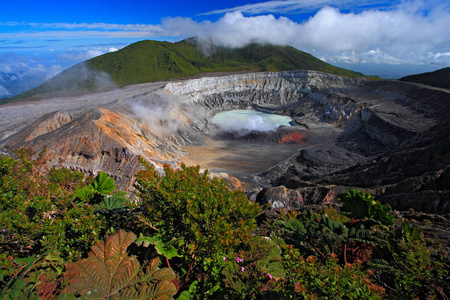 花卉的火山口波阿斯火山在哥斯达黎加照片