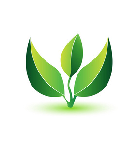 绿色叶子健康植物标志