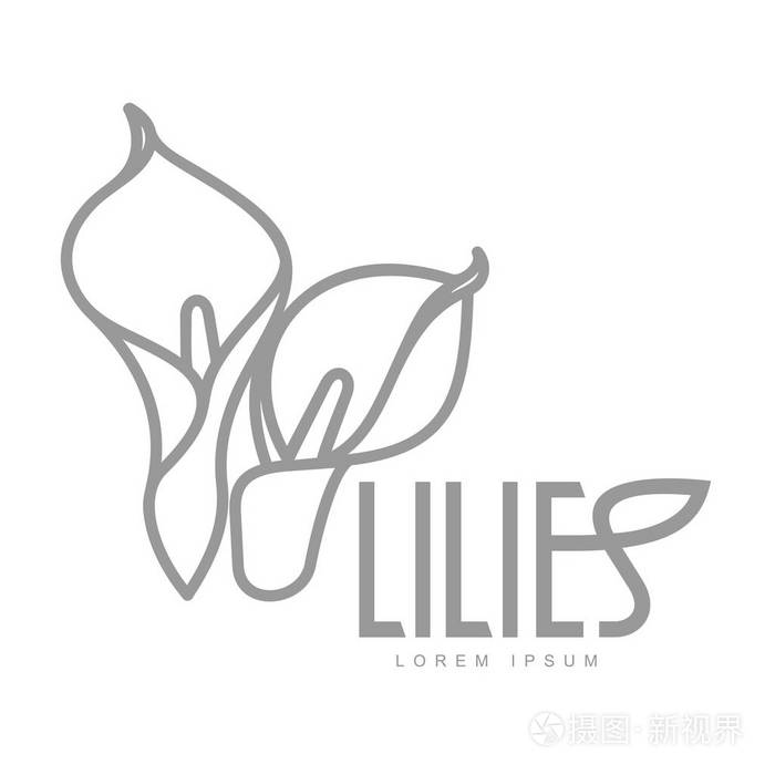 优雅的百合花标志模板