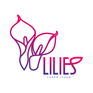 优雅的百合花标志模板图片