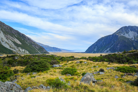 草甸和高山景观库克山国家公园里