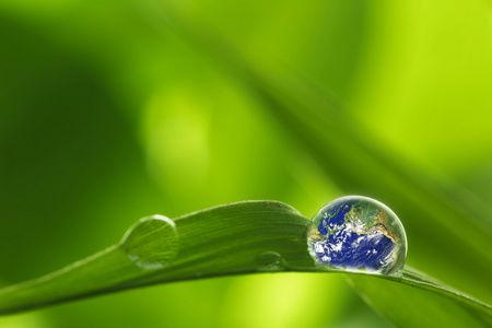 叶与雨滴恢复地球概念