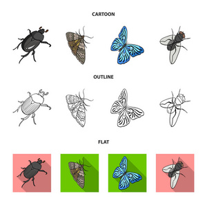 节肢动物昆虫甲虫, 蛾, 蝴蝶, 飞。昆虫集合图标在卡通, 轮廓, 平面风格矢量符号股票等距插图网