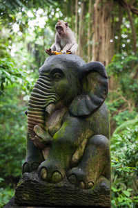 巴厘岛长尾猴坐在与香蕉雕像在猴子森林保护区, 乌布, 巴厘, 印度尼西亚