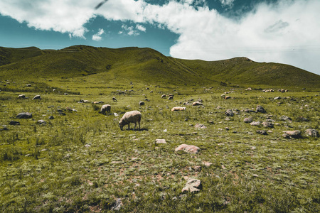高峰和山口图片