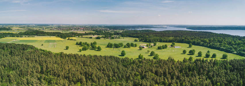 立陶宛 Kaisiadoriai 的鸟瞰森林