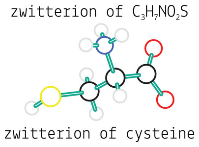 C3h7no2s 两性离子的半胱氨酸氨基酸