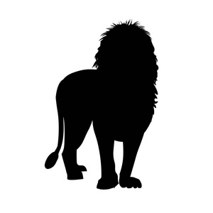 站在前面的非洲狮的剪影。在白色背景上隔离的矢量插图