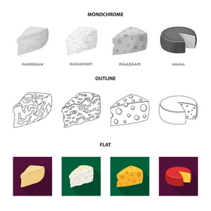 帕尔马, 雷孟达, maasdam, gauda。不同类型的奶酪集合图标在平面, 轮廓, 单色风格矢量符号股票插画网站