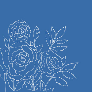 蓝色背景上隔离的美丽玫瑰。 手绘矢量I