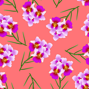 新加坡国花.矢量插图照片