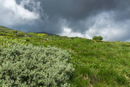 保加利亚索非亚城市 Vitosha 山丘陵景观