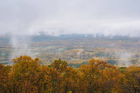 从蓝色山脊大道, 在弗吉尼亚的雾秋视图