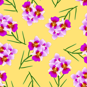 紫色联小姐若阿金阿尔贝托希萨诺兰花在黄色背景。新加坡国花。矢量插图