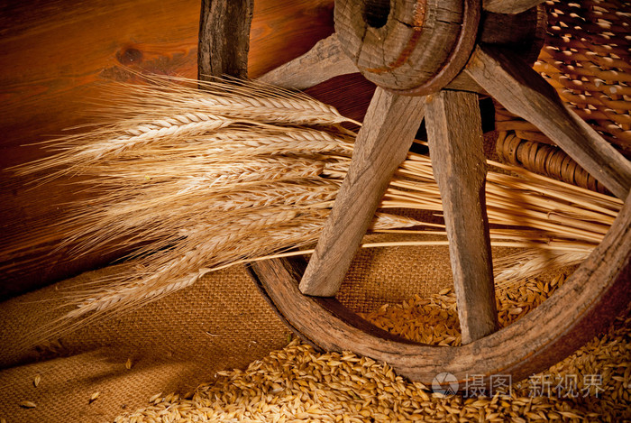 老式静物大麦与历史的车轮