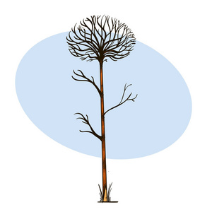 成长裸裸树手绘, 素描风格照片