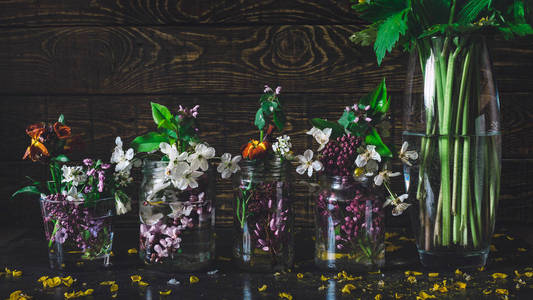 姹紫嫣红的春天花儿在玻璃花瓶瓶，站成一排在一个黑暗的木制背景生动如画花束