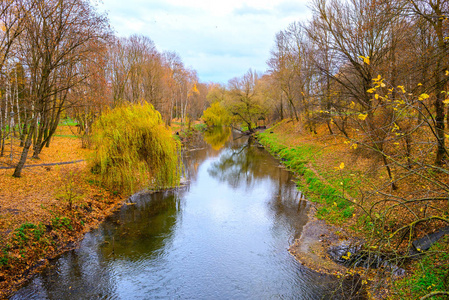 农村条小河秋天森林里的小河, 美丽的一天照片