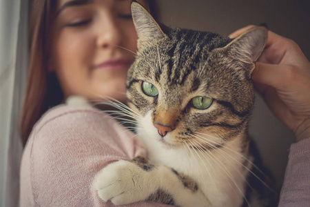 young 女人控股猫回家照片