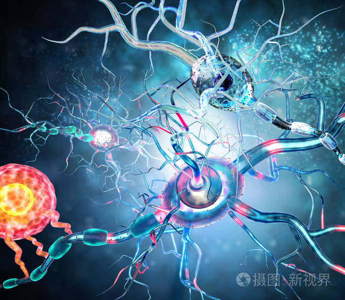 受损的神经细胞,概念神经退行性以及神经系统疾病,肿瘤,脑手术