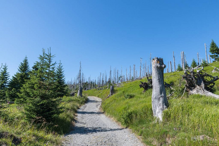 在德国巴法力亚森林的大雷切尔山上的风景