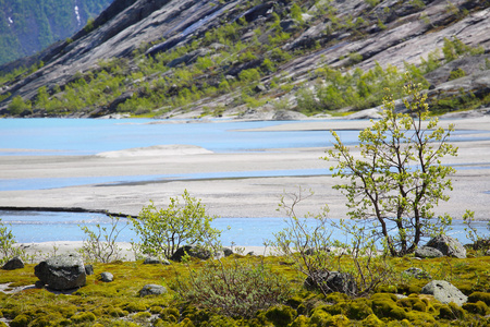 Nigardsbreen 冰川在斯达国家公园