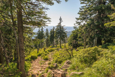 在德国巴法力亚森林的大雷切尔山上的风景